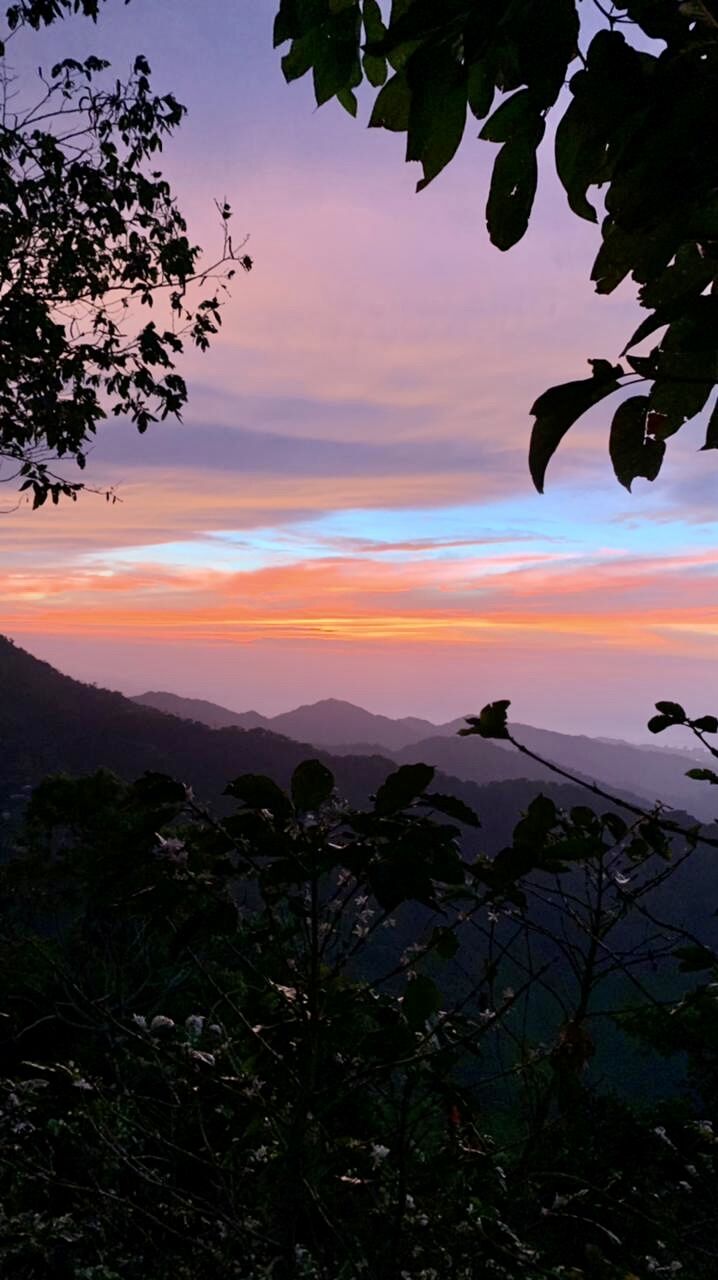 MINCA COLOMBIA, UN PARAÍSO ENCANTADOR